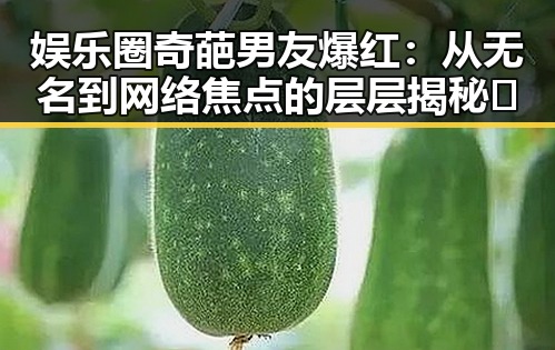 娱乐圈奇葩男友爆红:从无名到网络焦点的层层揭秘🤔