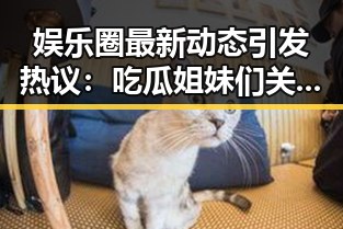 娱乐圈最新动态引发热议:吃瓜姐妹们关注焦点逐渐转向明星隐私